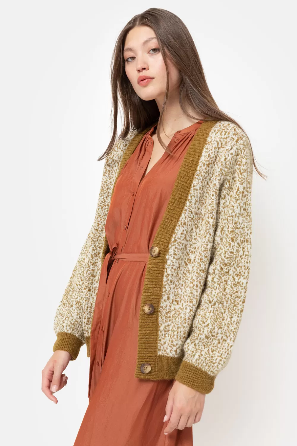 Korte Groen-Beige Cardigan Met Effen Boorden-Terre Bleue Cheap